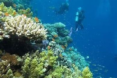 Egypt International Diving